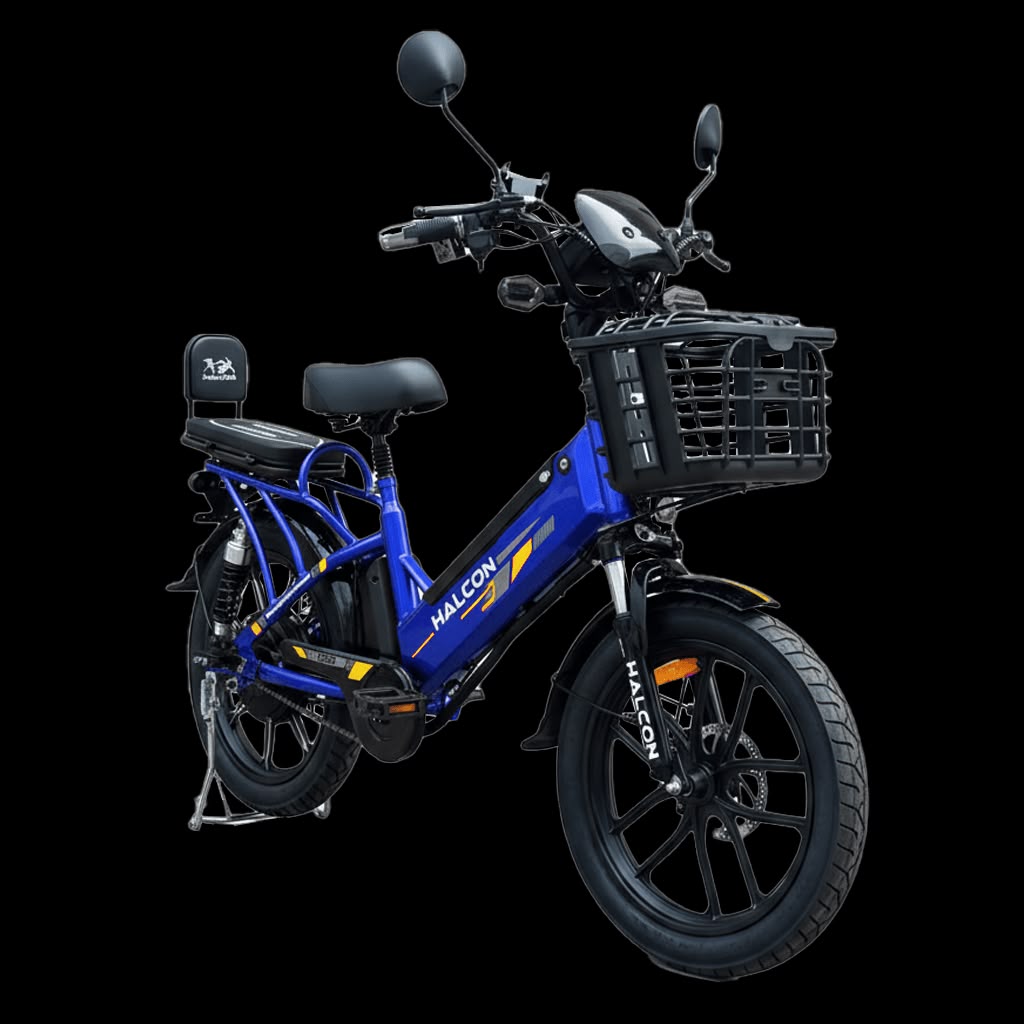 E BIKE ELECTRIC