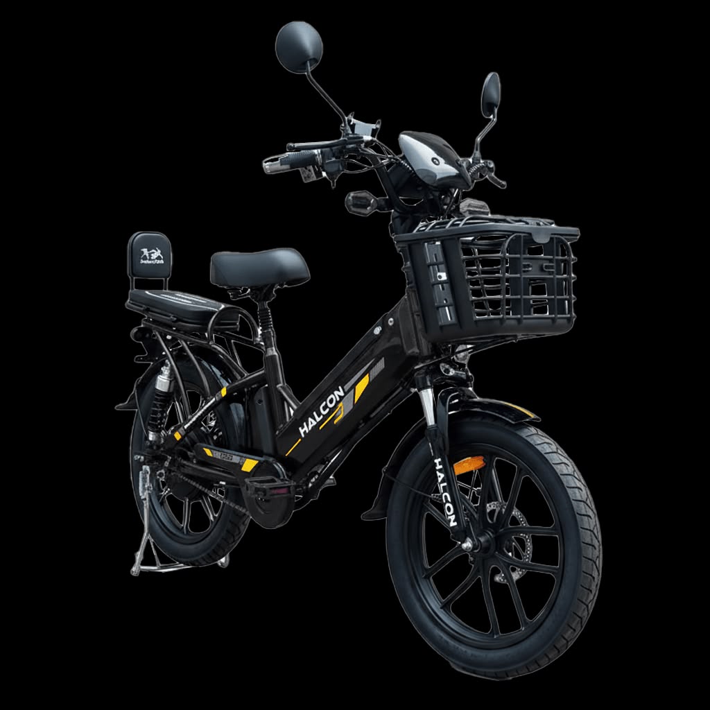 E BIKE ELECTRIC