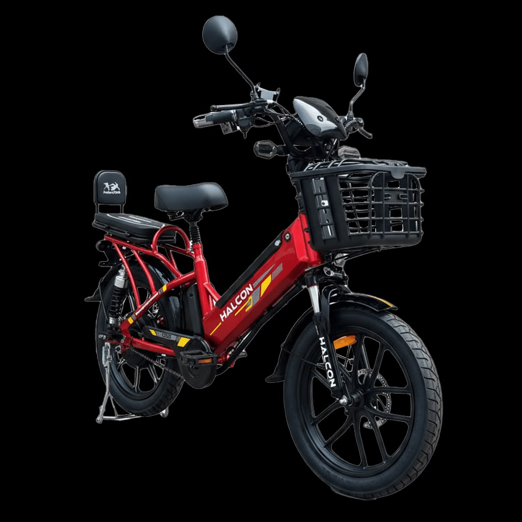 E BIKE ELECTRIC