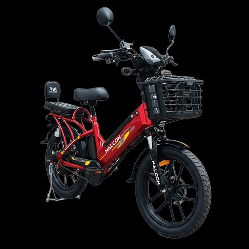 E BIKE ELECTRIC